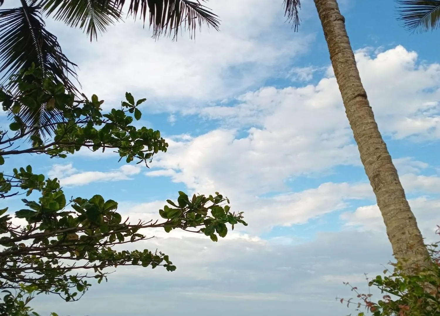 Vila Penelope Guest House Balneário Camboriú Βραζιλία