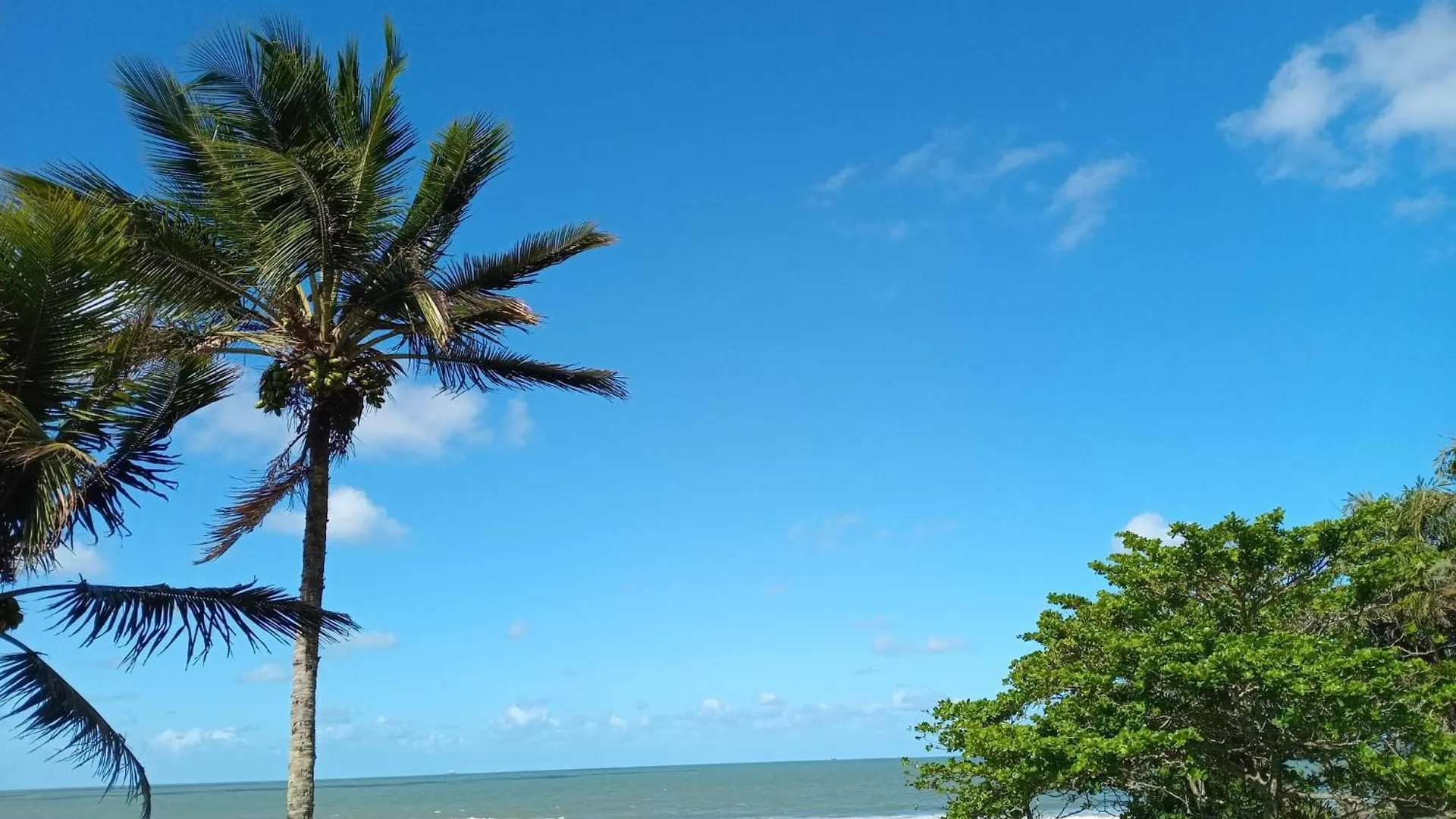 Vila Penelope Guest House Balneário Camboriú Βραζιλία